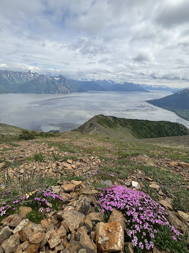 Hope Point Trail - Hope, AK