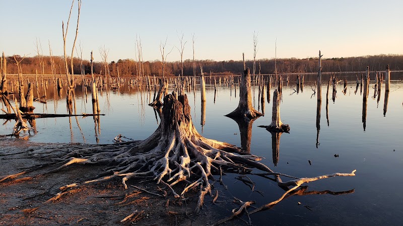 Chestnut Point Manasquan Reservoir - Howell Township, NJ