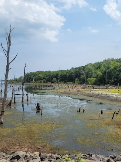 Chestnut Point Manasquan Reservoir - Howell Township, NJ