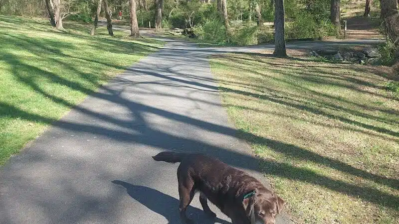 Redwood Dog Park - Hudson, NC