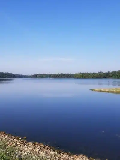Hunnewell Conservation Area - Hunnewell, MO