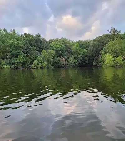 Hunnewell Conservation Area - Hunnewell, MO