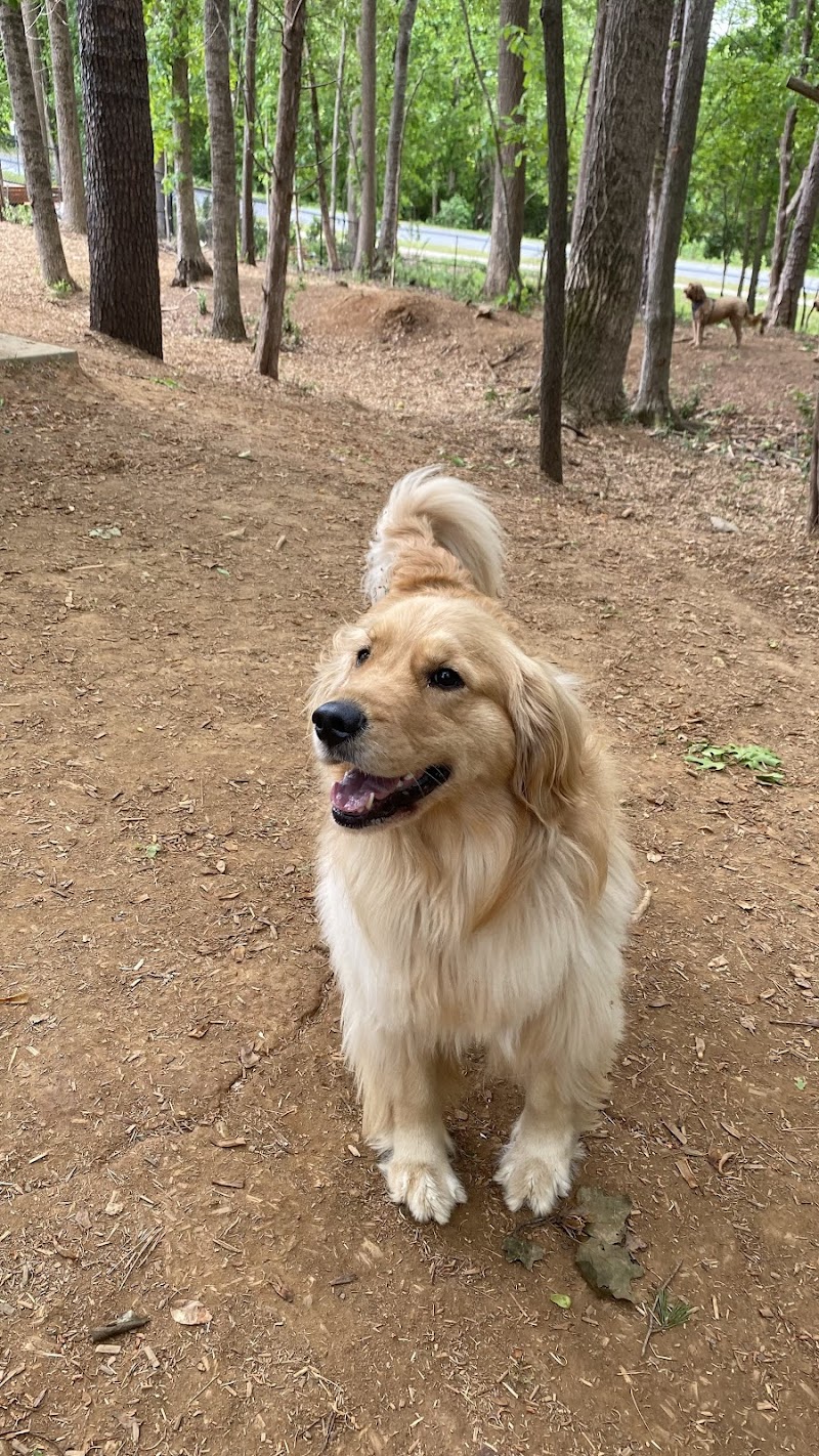 Rosedale Dog Park - Huntersville, NC