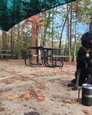 Rosedale Dog Park