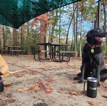 Rosedale Dog Park