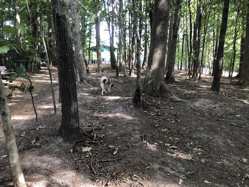 Rosedale Dog Park - Huntersville, NC