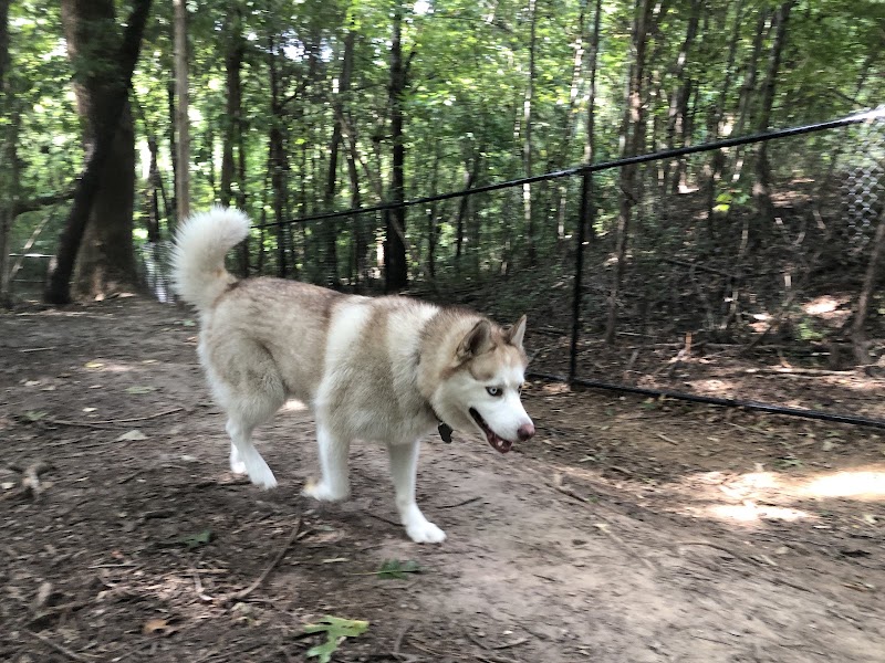 Rosedale Dog Park - Huntersville, NC