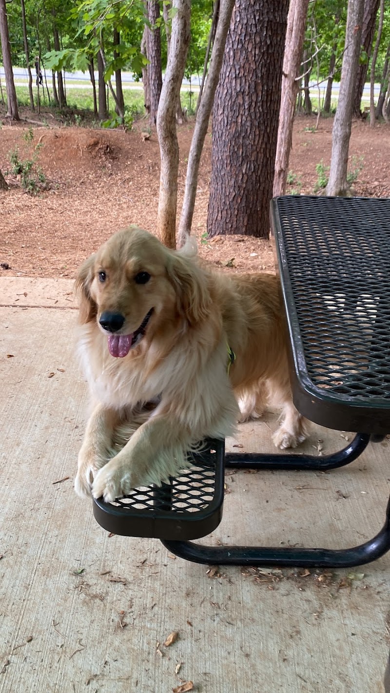 Rosedale Dog Park - Huntersville, NC