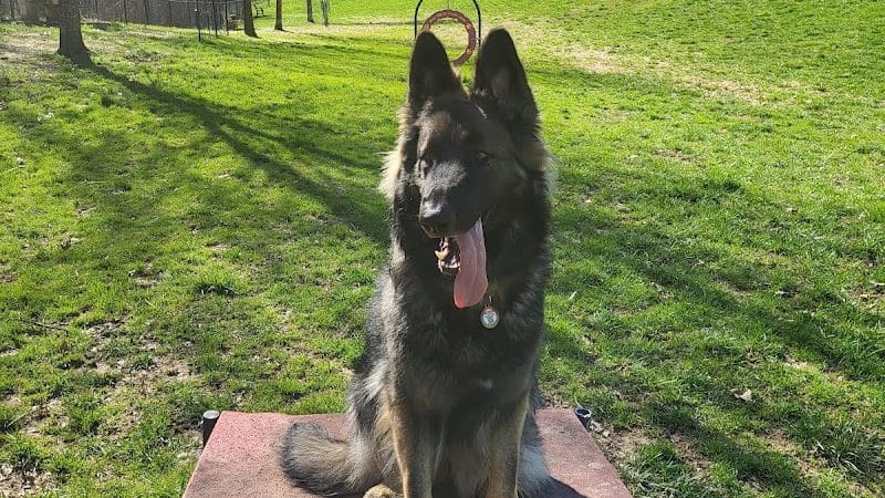 Huntington PetSafe Dog Park - Huntington, WV
