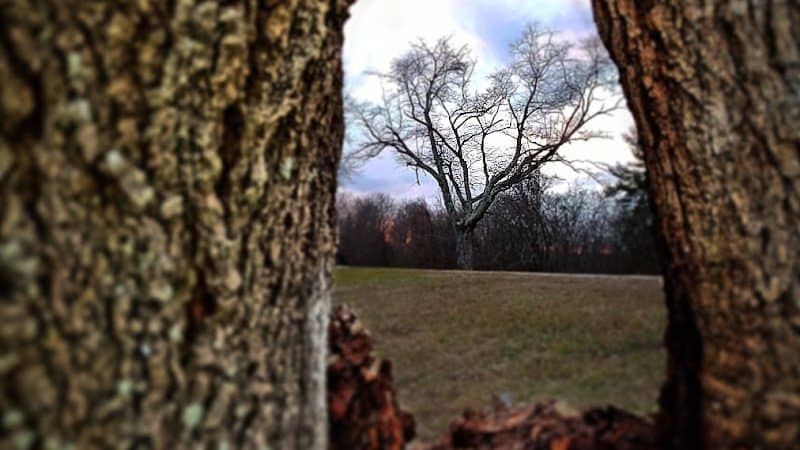 Rotary Park - Huntington, WV