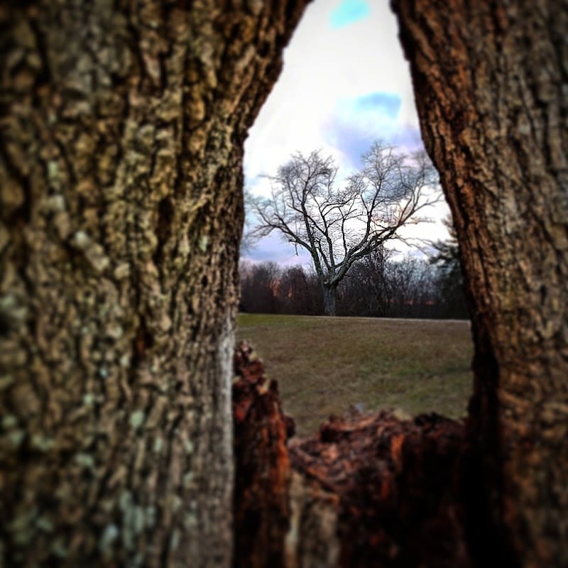 Rotary Park - Huntington, WV