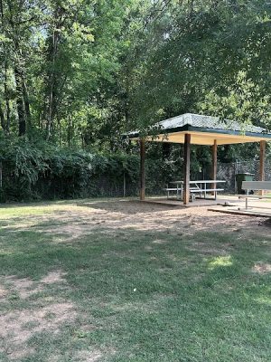 Astro Dog Park