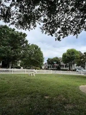 Providence Pet Park