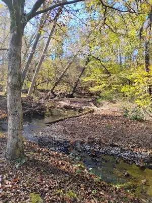 Providence Pet Park