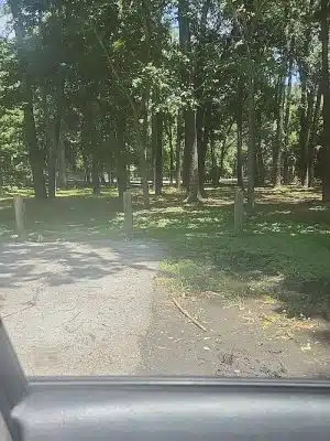 dog park