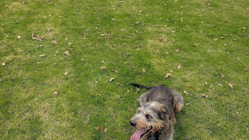 Hurst Dog Park - Hurst, TX
