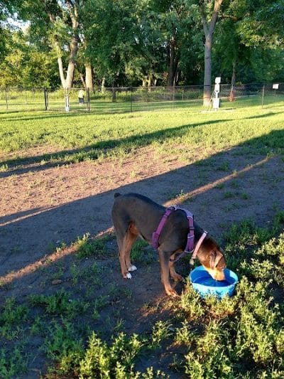 City of Hutchinson Dog Park - Hutchinson, MN