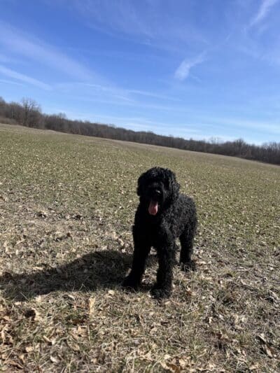 Crawford County Fish & Wildlife - Hutsonville, IL
