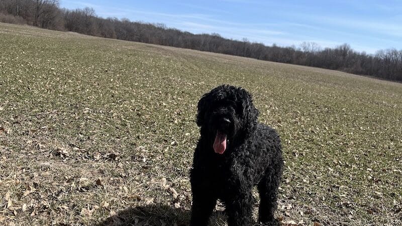 Crawford County Fish & Wildlife - Hutsonville, IL