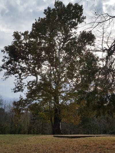 Crawford County Fish & Wildlife - Hutsonville, IL