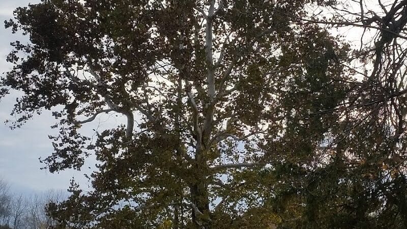 Crawford County Fish & Wildlife - Hutsonville, IL