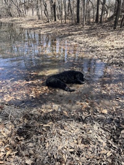 Crawford County Fish & Wildlife - Hutsonville, IL