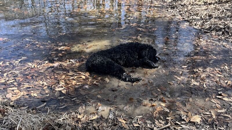 Crawford County Fish & Wildlife - Hutsonville, IL