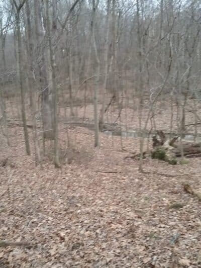 Crawford County Fish & Wildlife - Hutsonville, IL