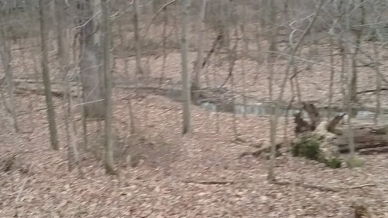 Crawford County Fish & Wildlife - Hutsonville, IL