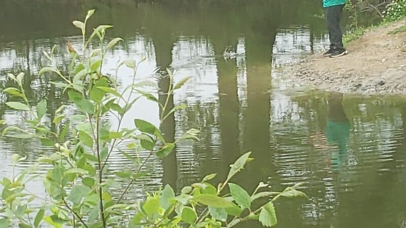 Hutson Memorial Park - Hutsonville, IL