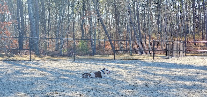 Barnstable Dog Park - Hyannis, MA