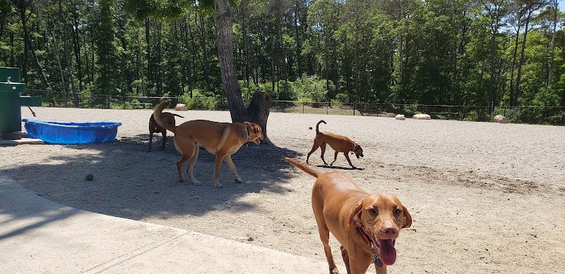 Barnstable Dog Park - Hyannis, MA