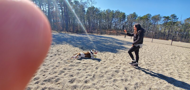 Barnstable Dog Park - Hyannis, MA