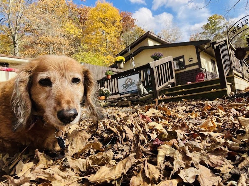 Dogwood Pet Resort - Hyndman, PA