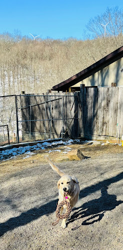 Dogwood Pet Resort