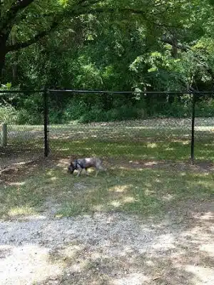 Independence Dog Park