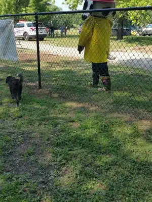 Independence Dog Park