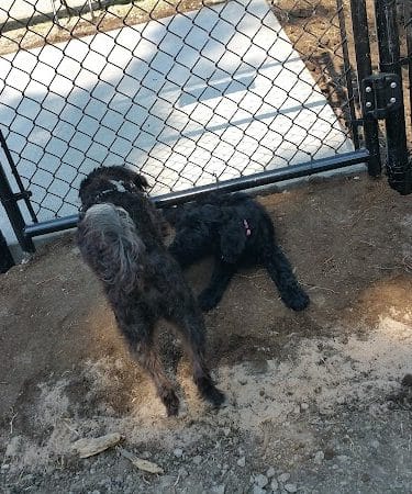 Independence Dog Park - Independence, KS