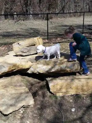 Independence Dog Park