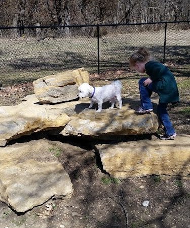Independence Dog Park - Independence, KS
