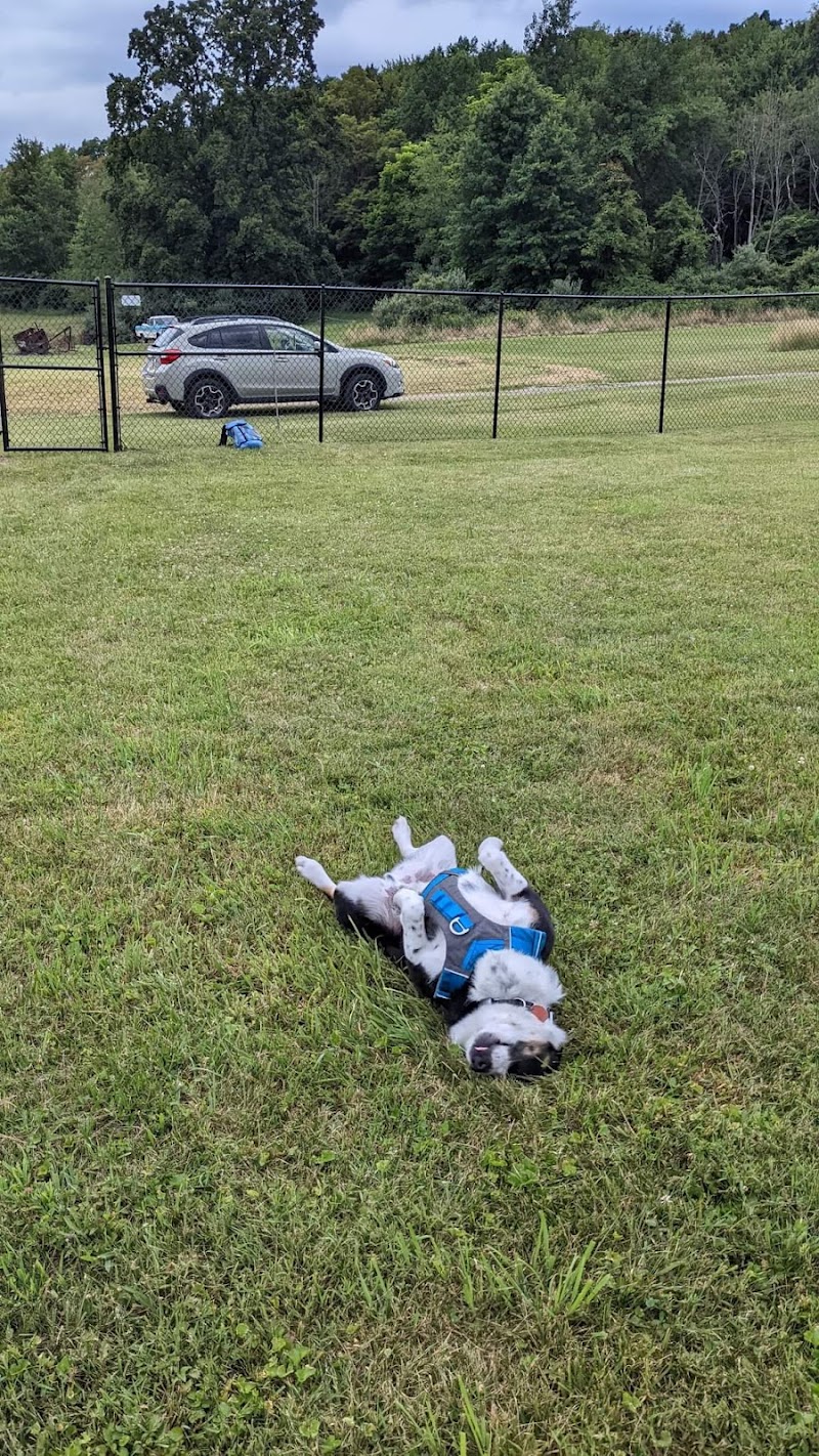Mutts of Merit in Motion - Sniffspot - Indiana, PA