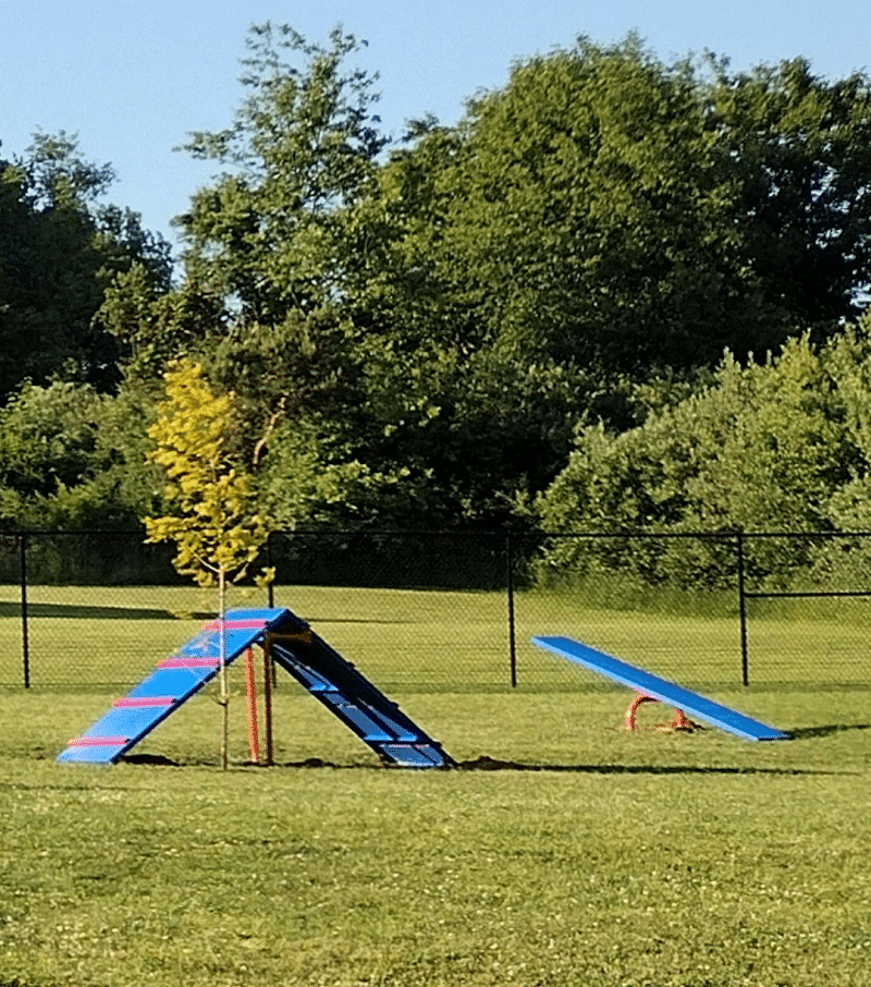 Mutts of Merit in Motion - Sniffspot - Indiana, PA