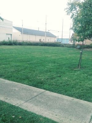Baumann Park