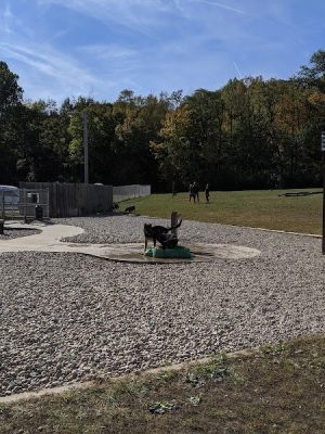 Fort Harrison State Park Dog Park