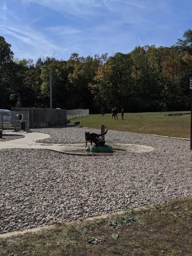 Fort Harrison State Park Dog Park