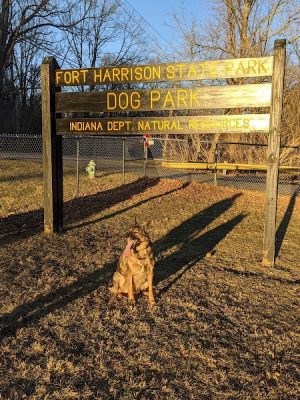 Fort Harrison State Park Dog Park