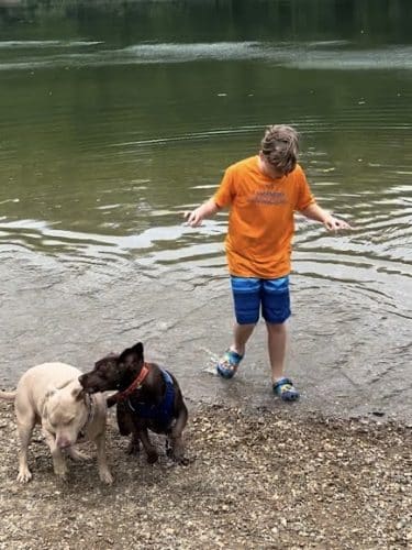 Fort Harrison State Park Dog Park