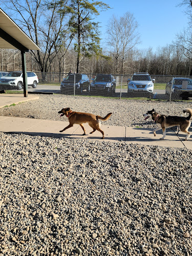 Fort Harrison State Park Dog Park
