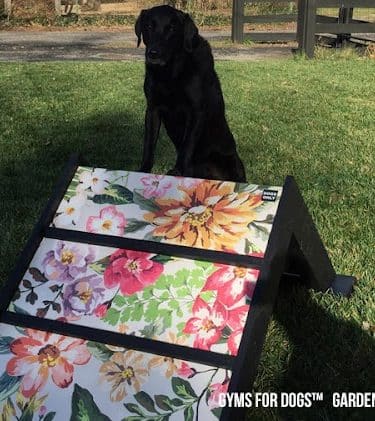 Gyms for Dogs - Natural Dog Park Products