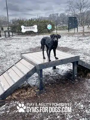 Gyms for Dogs - Natural Dog Park Products